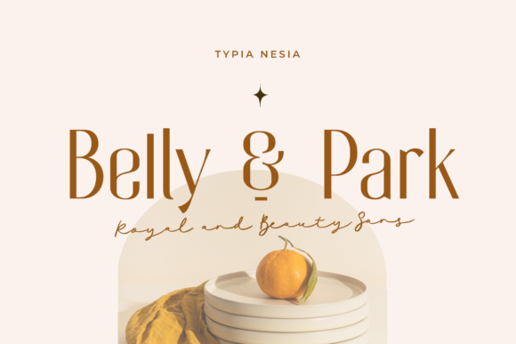 Belly and Park: A Vintage Sans Serif for Web Design