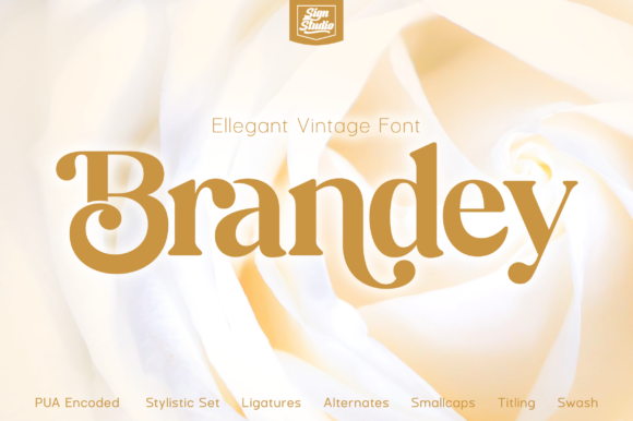 Brandey Font: Vintage Style for Crafters