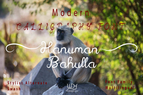 Hanuman Bahulla: A Stylish Font for Business