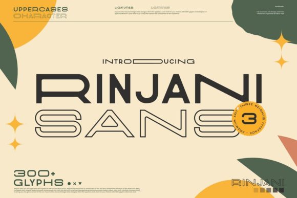 Rinjani Sans: A Font for Business Success
